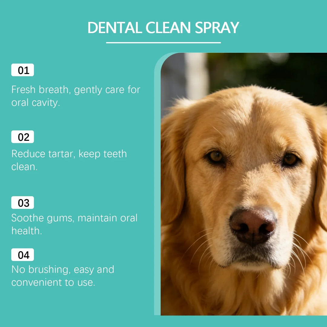 Pet Oral Care Spray 100ml – Natural Bad Breath Freshener Dog Cat Teeth Cleaning Plaque Reducer 2026
