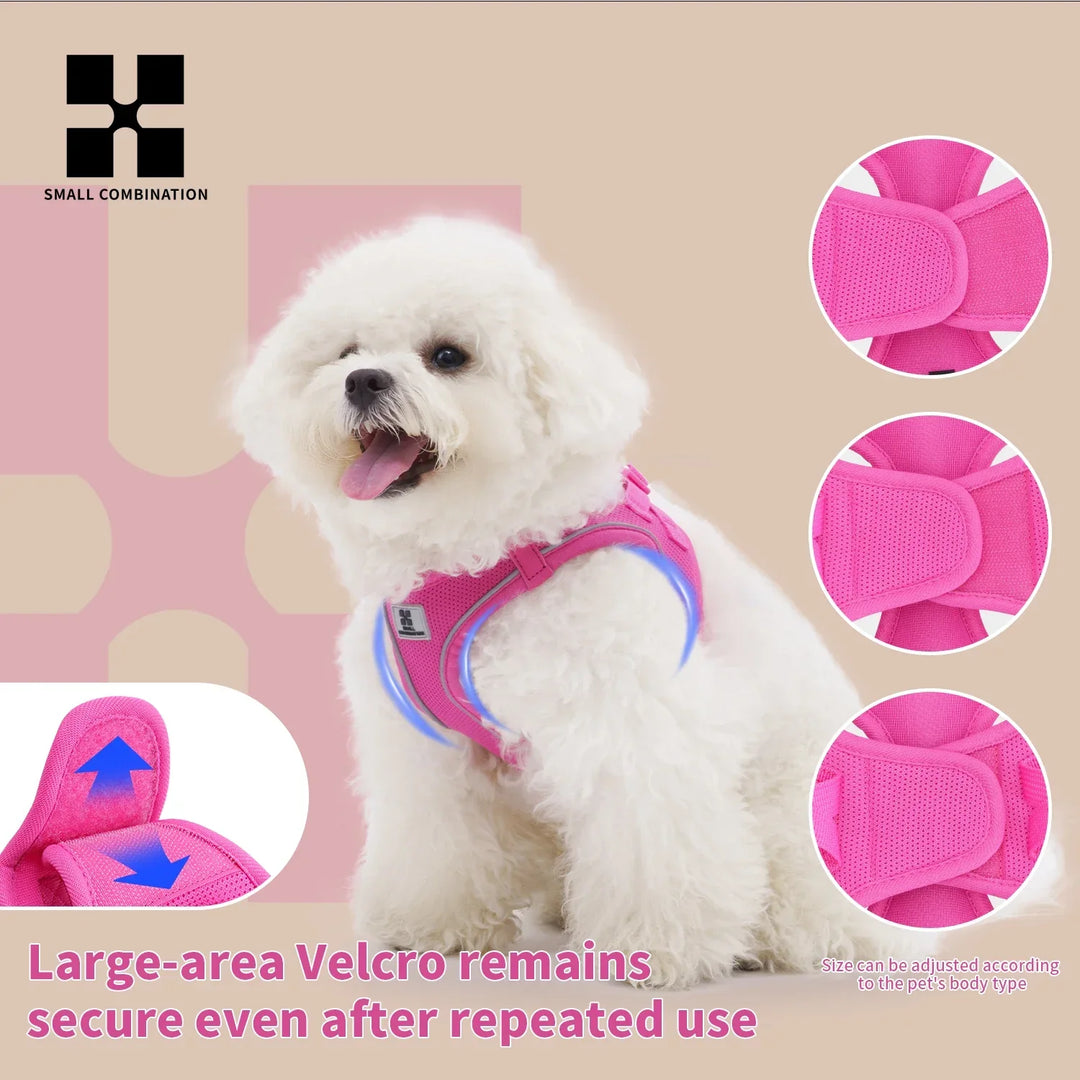 Dog Harness Leash Set Reflective Padded Vest All Seasons Outdoor Walking Gift Idea