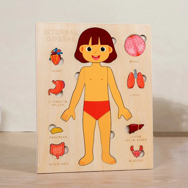 Montessori Human Anatomy Jigsaw Puzzle for Kids, 10 Pieces Educational Toy, Interactive Learning Tool, Non-Toxic Wood, 12 x 9 Inches