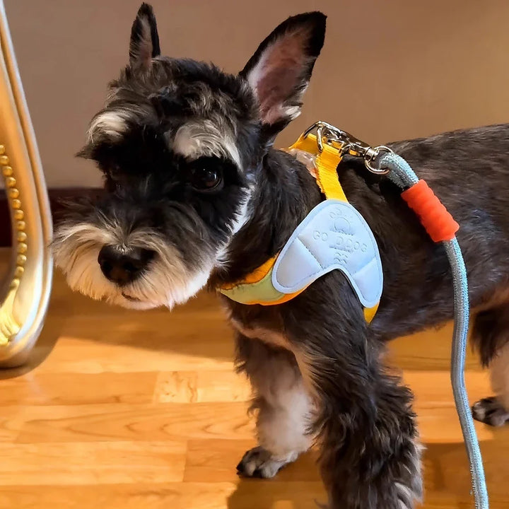 Dog Harness Y Shaped Adjustable Chest Straps Polyester Blends Summer 2026 Outdoor Use Easy Fit