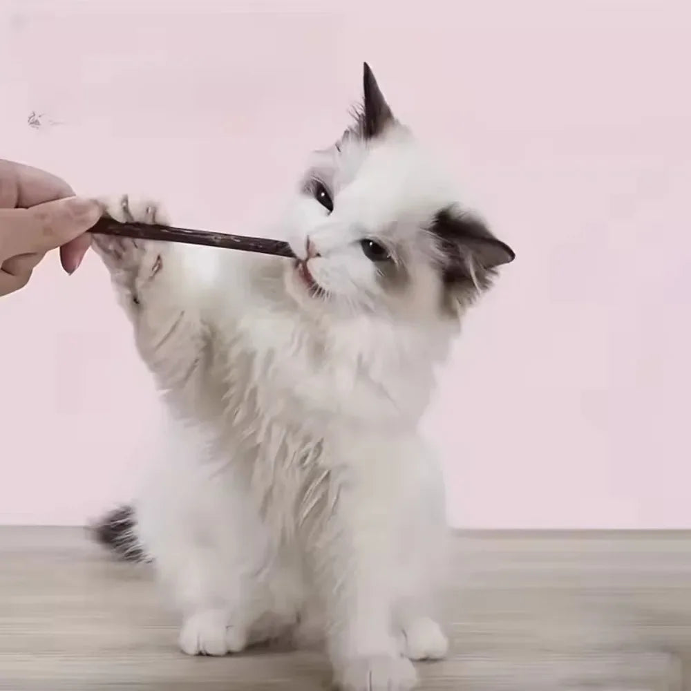 Natural Matatabi Cat Chew Sticks 15-Pack - Silvervine Catnip Dental Toy for Teeth Cleaning