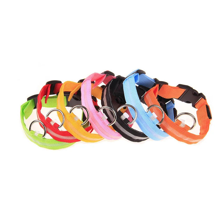 LED Dog Collar Glow In The Dark Night Safety Luminous Fall 2026 Trend Perfect Gift Idea