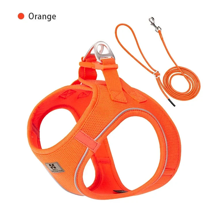 Dog Harness Leash Set Reflective Padded Vest All Seasons Outdoor Walking Gift Idea