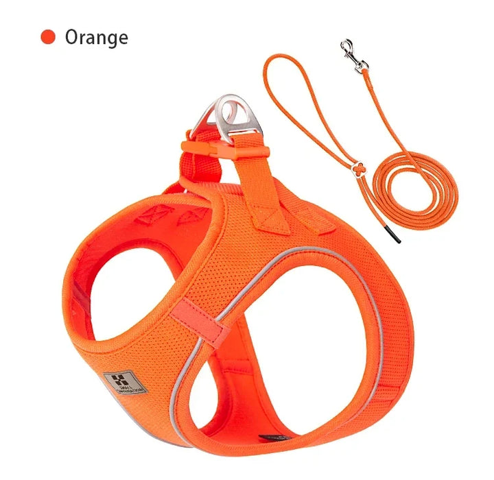 Dog Harness Leash Set Reflective Padded Vest All Seasons Outdoor Walking Gift Idea