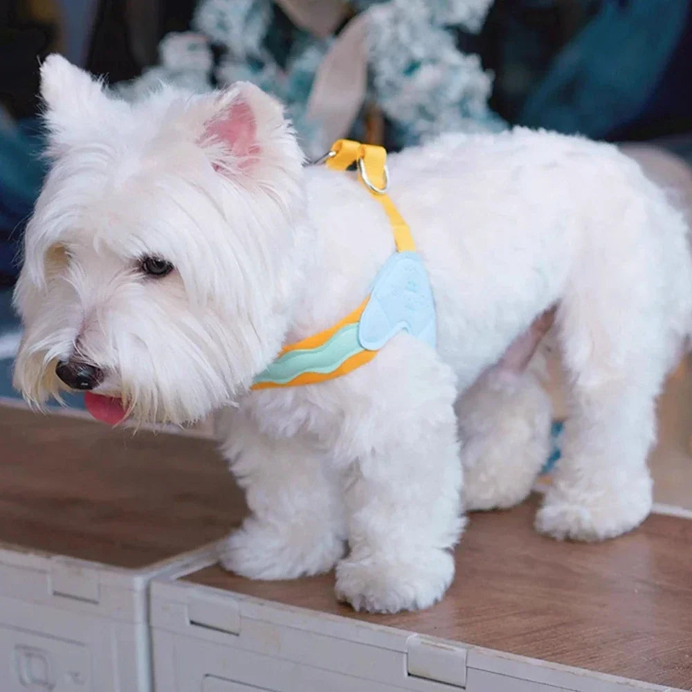 Dog Harness Y Shaped Adjustable Chest Straps Polyester Blends Summer 2026 Outdoor Use Easy Fit
