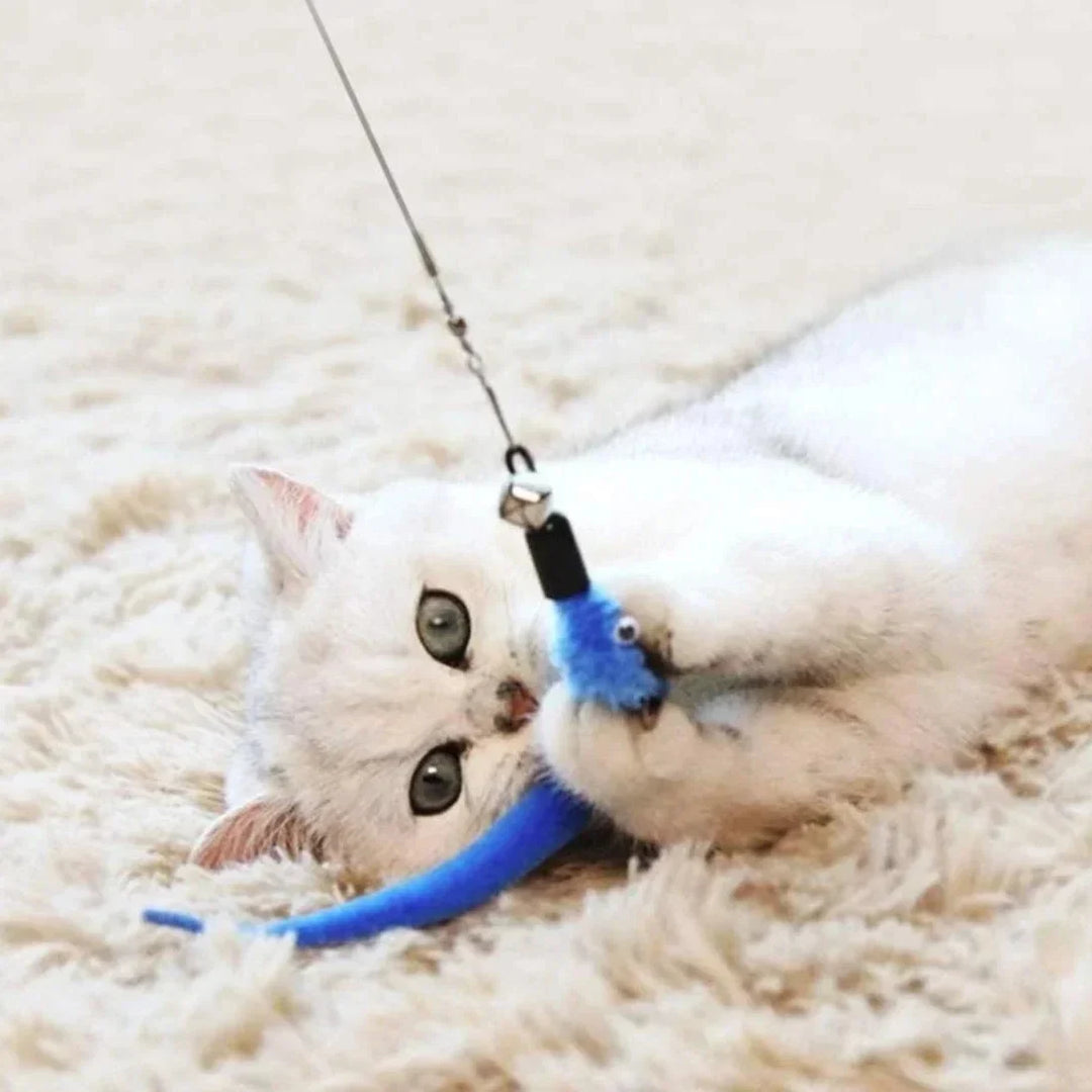 11pcs Replacement Cat Feather Toy Set - Retractable Cat Stick for Play, Durable Feather Toys