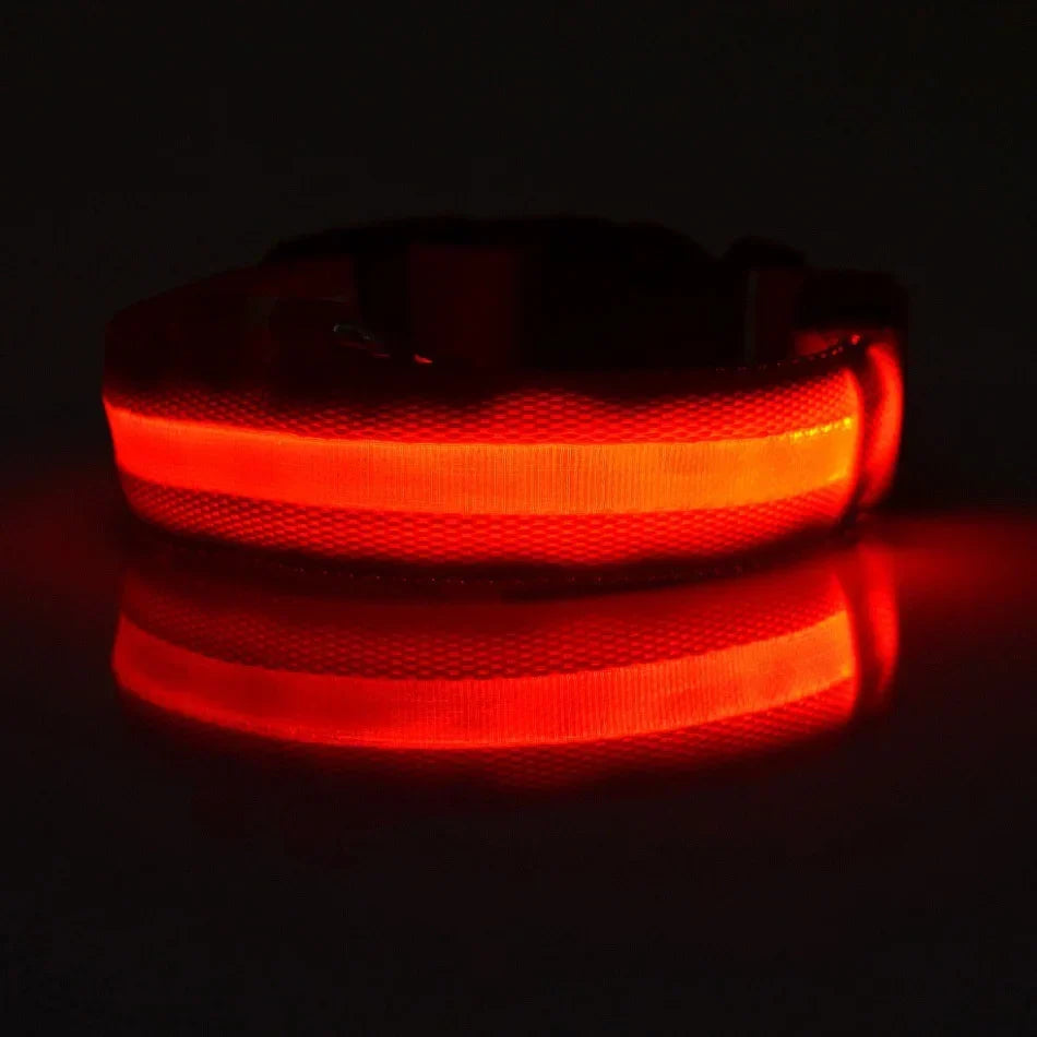 LED Dog Collar Glow In The Dark Night Safety Luminous Fall 2026 Trend Perfect Gift Idea