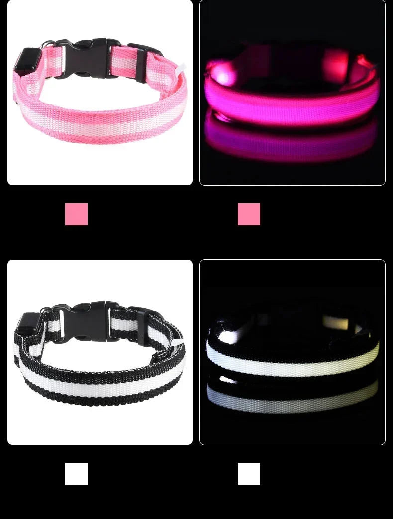 LED Dog Collar Glow In The Dark Night Safety Luminous Fall 2026 Trend Perfect Gift Idea