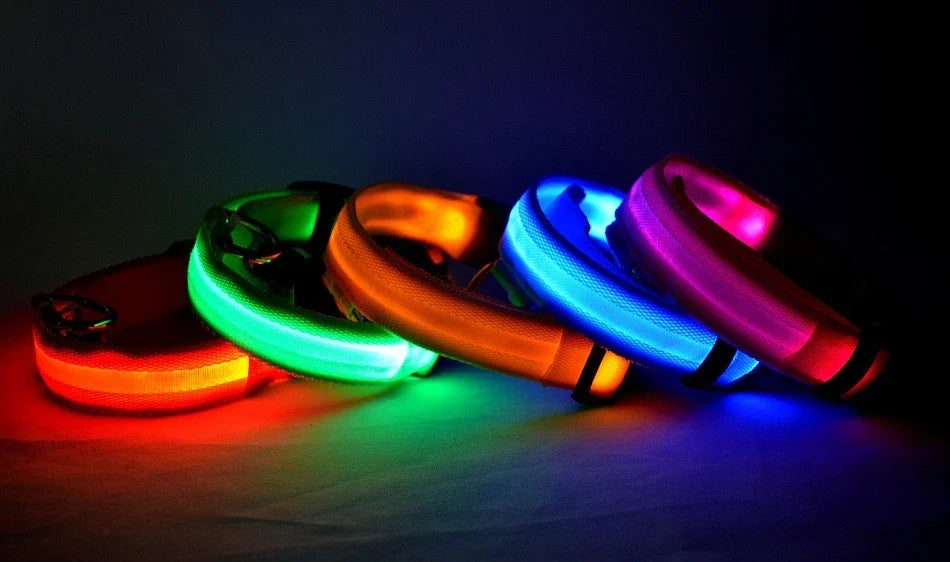 LED Dog Collar Glow In The Dark Night Safety Luminous Fall 2026 Trend Perfect Gift Idea