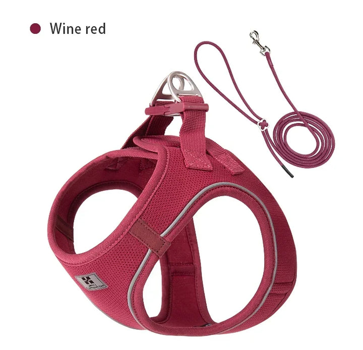 Dog Harness Leash Set Reflective Padded Vest All Seasons Outdoor Walking Gift Idea