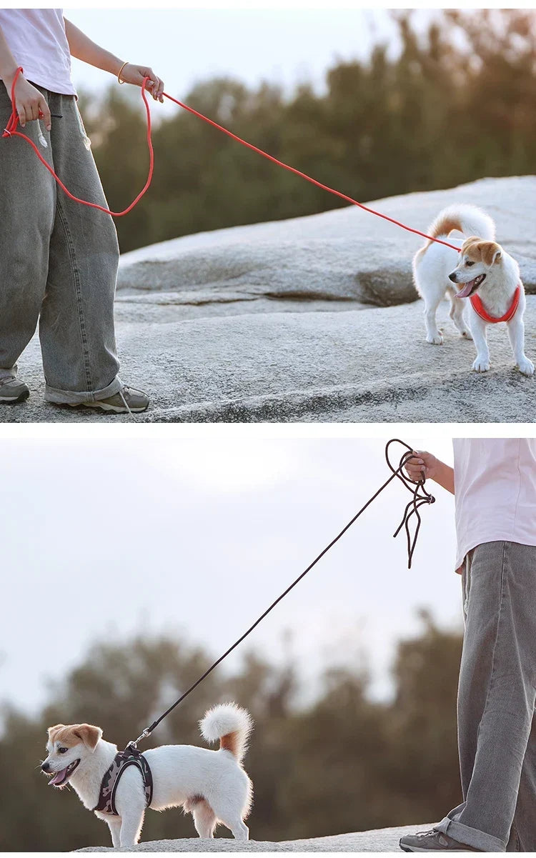 Dog Harness Leash Set Reflective Padded Vest All Seasons Outdoor Walking Gift Idea