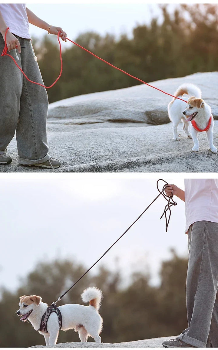 Dog Harness Leash Set Reflective Padded Vest All Seasons Outdoor Walking Gift Idea