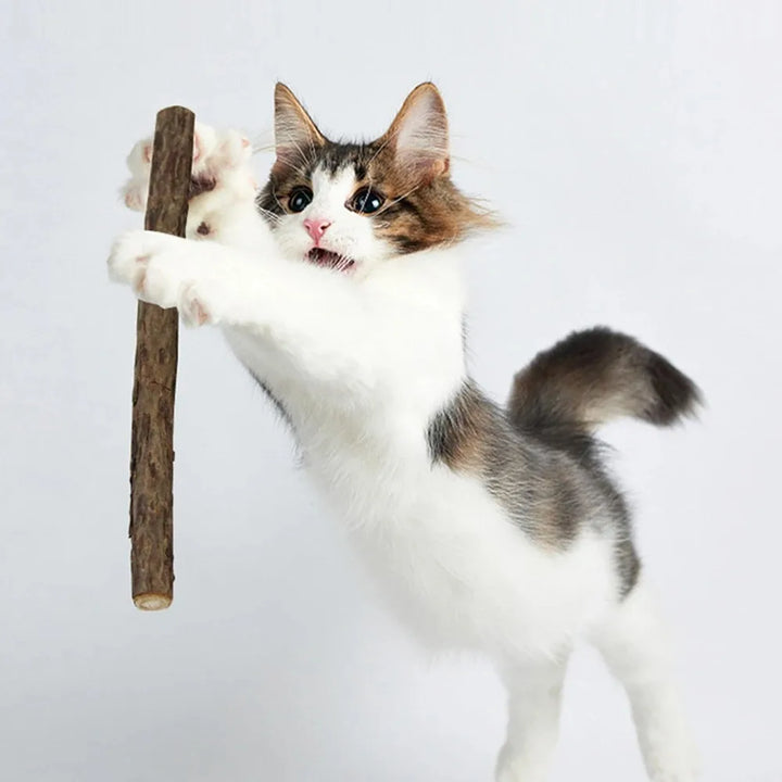 Natural Matatabi Cat Chew Sticks 15-Pack - Silvervine Catnip Dental Toy for Teeth Cleaning