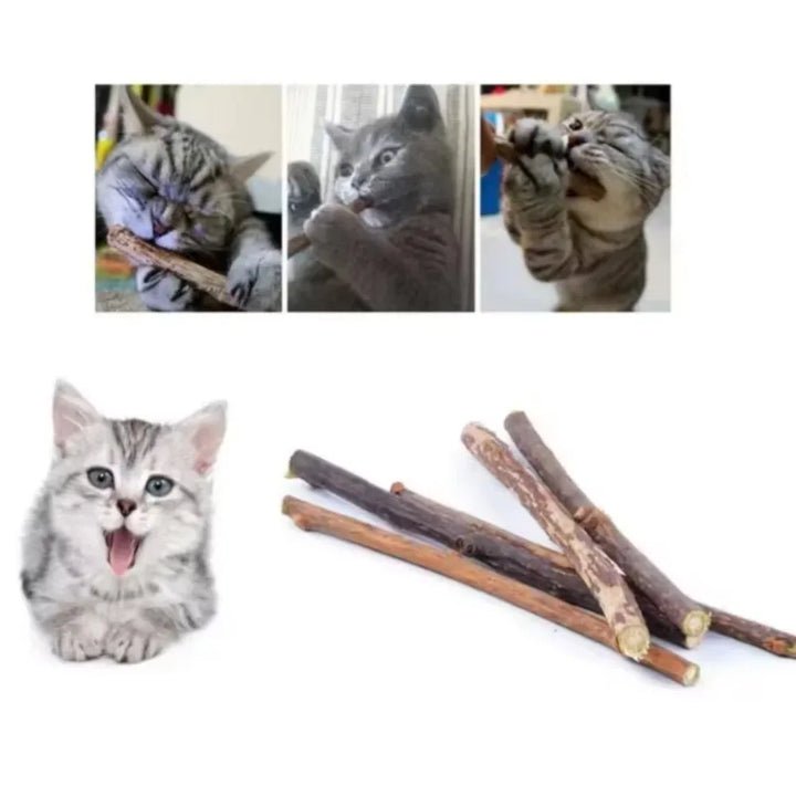 Natural Matatabi Cat Chew Sticks 15-Pack - Silvervine Catnip Dental Toy for Teeth Cleaning