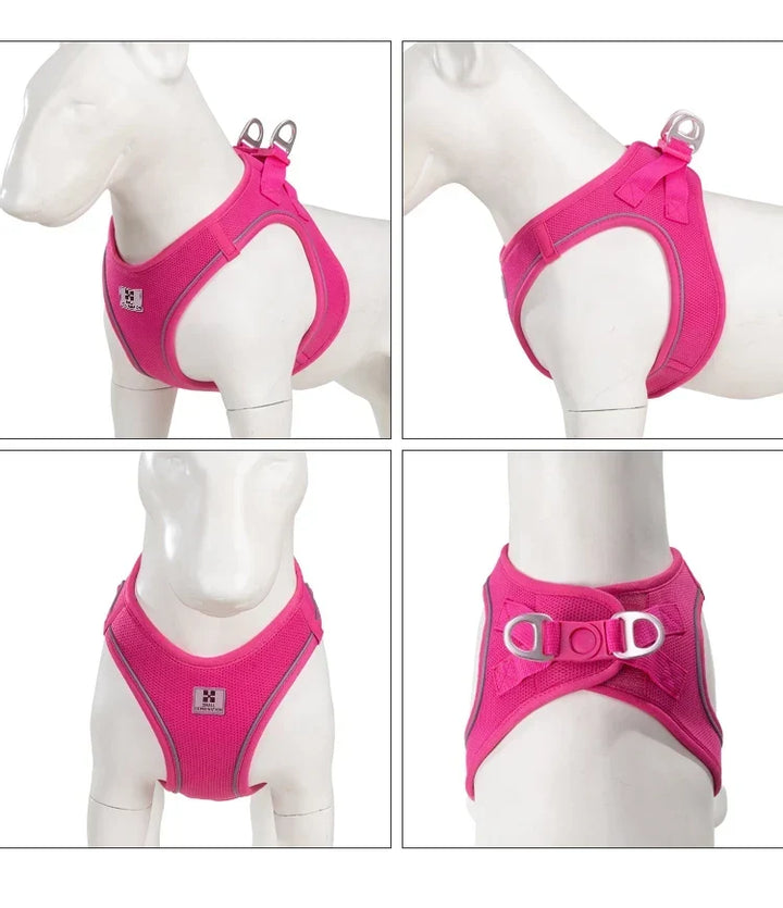 Dog Harness Leash Set Reflective Padded Vest All Seasons Outdoor Walking Gift Idea