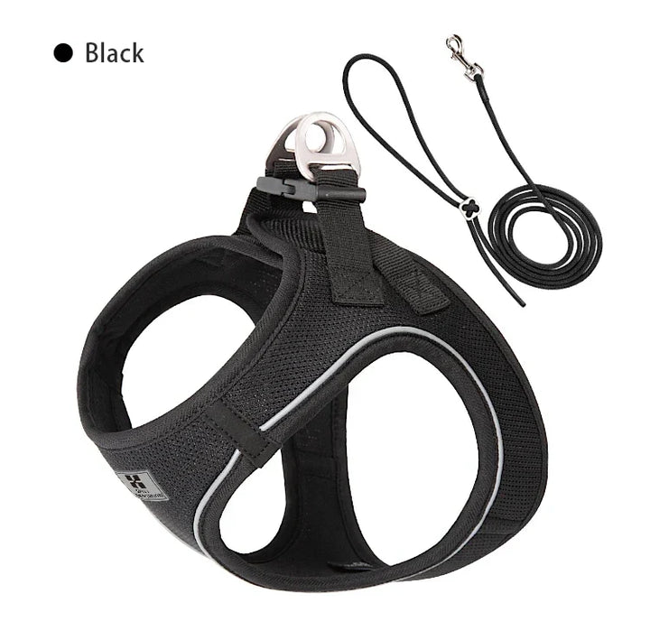 Dog Harness Leash Set Reflective Padded Vest All Seasons Outdoor Walking Gift Idea