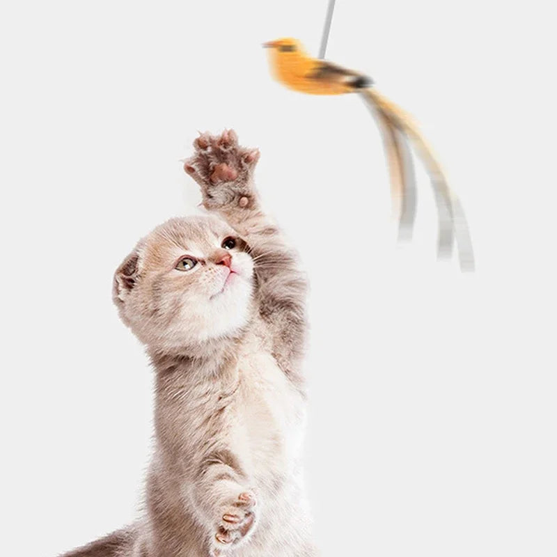 Simulated Bird Cat Toys - Upgraded Feather Teasing Stick, Long Rod with Steel Wire, Cat Safe Fun