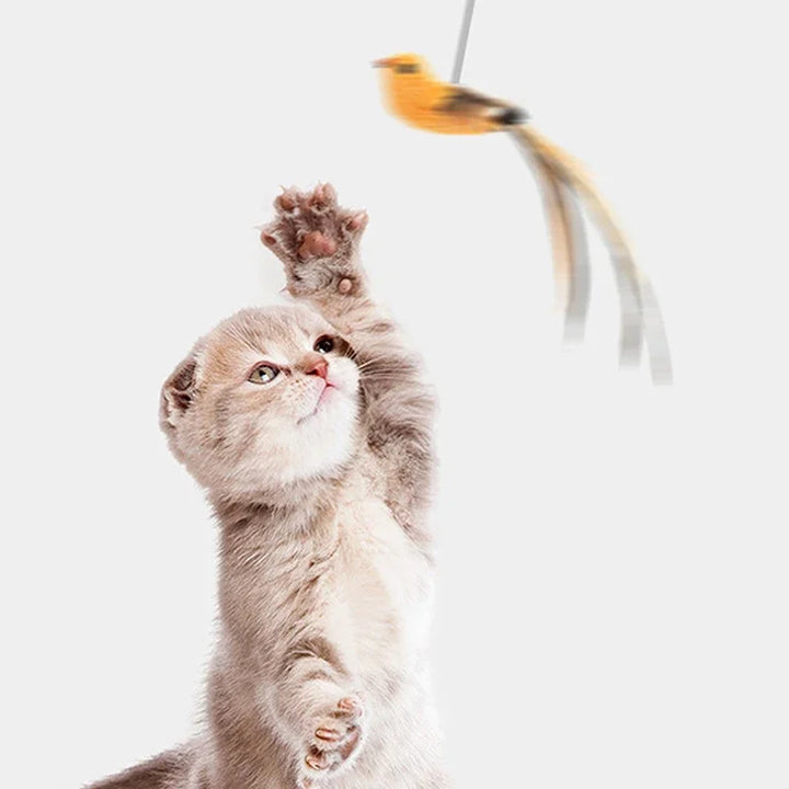 Simulated Bird Cat Toys - Upgraded Feather Teasing Stick, Long Rod with Steel Wire, Cat Safe Fun
