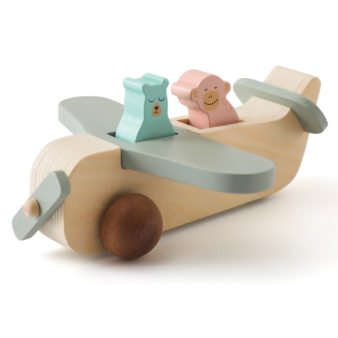 Wooden Montessori Plane Educational Toy for 3-4 Year Olds with colourful Glass Beads for Learning and Creative Play