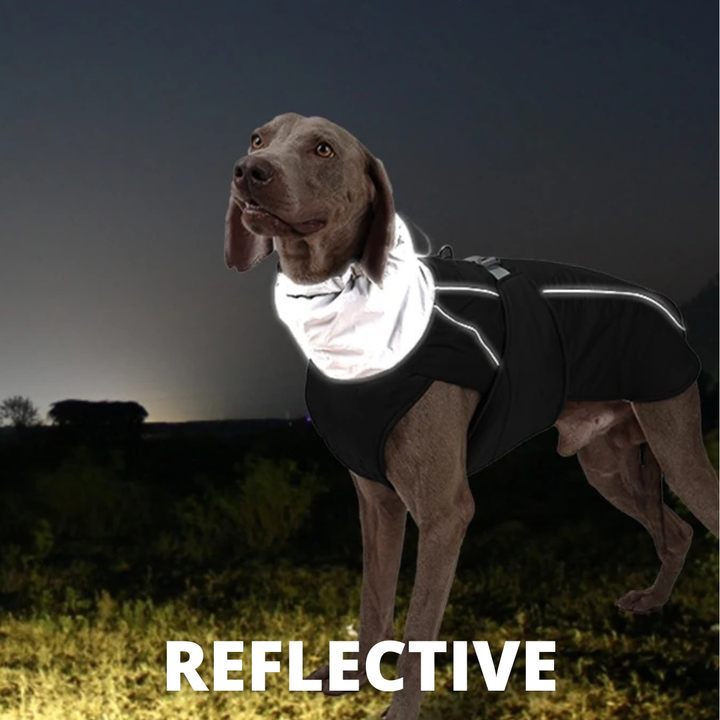 Water-Resistant Dog Coat With Reflective Strips And Adjustable Straps For Safe Winter Walks 2025