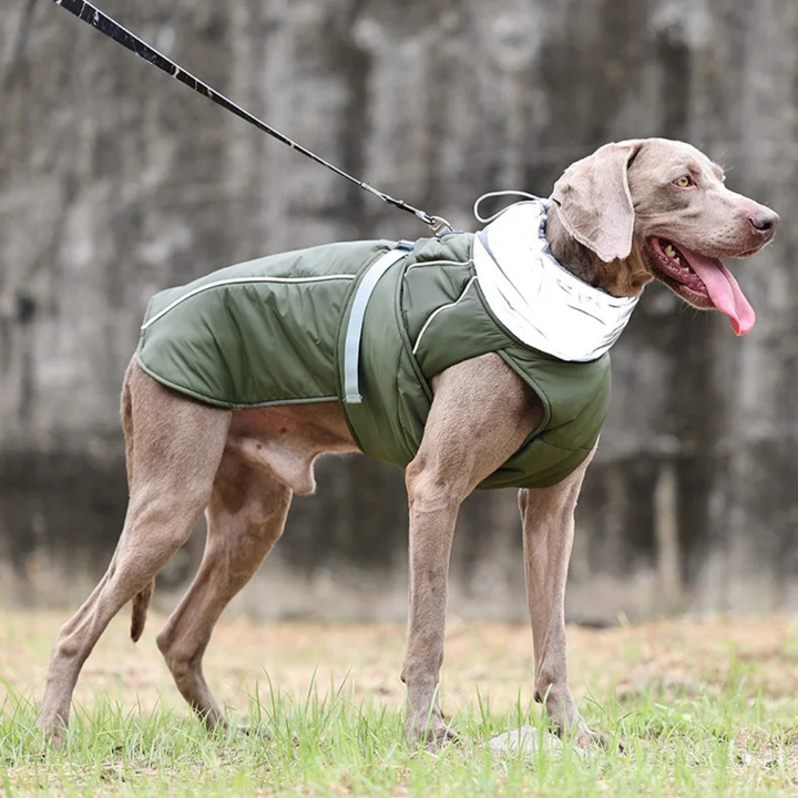 Water-Resistant Dog Coat With Reflective Strips And Adjustable Straps For Safe Winter Walks 2025