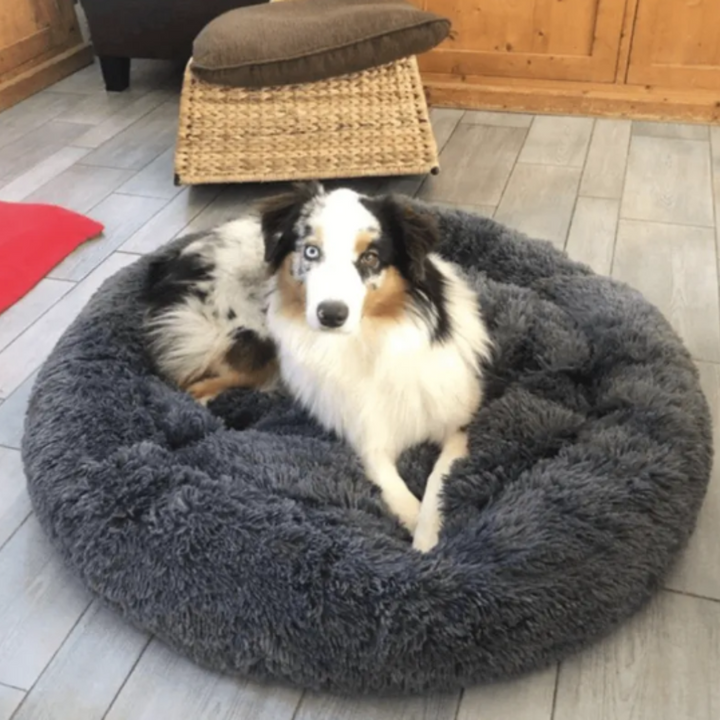 Calming Dog Bed Ultra Plush Cozy Nest With Raised Rim For Relaxing Sleep Fall 2025 Gift Idea