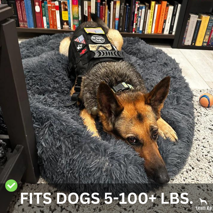 Calming Dog Bed Ultra Plush Cozy Nest With Raised Rim For Relaxing Sleep Fall 2025 Gift Idea