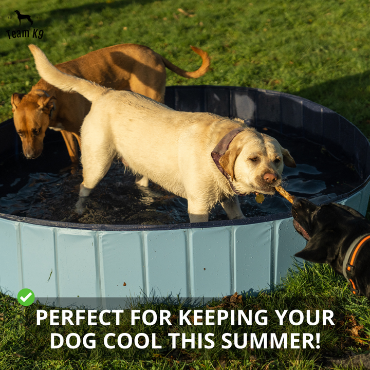 Pop-Up Dog Pool Foldable - Outdoor Bath And Pool For Pets, Summer 2025 Easy Setup, Side Drain, Durable Lining