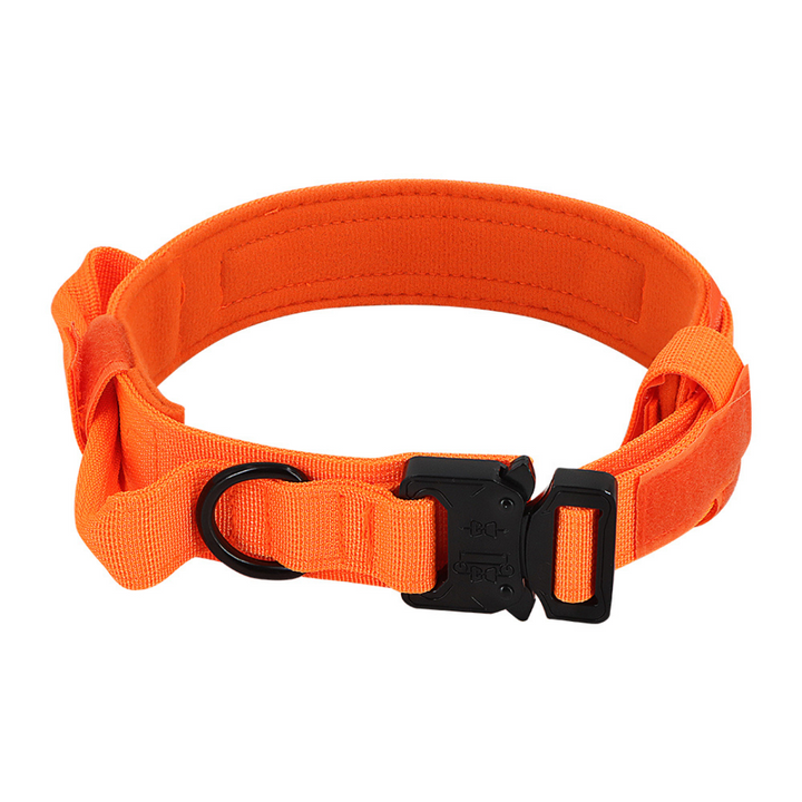 Dog Collar Tactical K9 With Patch Panel Top Handle Training And Control Fall 2025