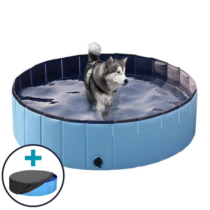 Pop-Up Dog Pool Foldable - Outdoor Bath And Pool For Pets, Summer 2025 Easy Setup, Side Drain, Durable Lining