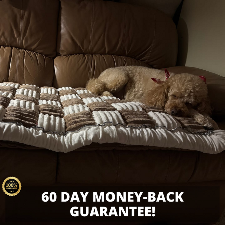 Furniture Protector Thick Orthopedic Padding Couch Cover Fall 2025 Cozy Pet Safe Sofa Shield